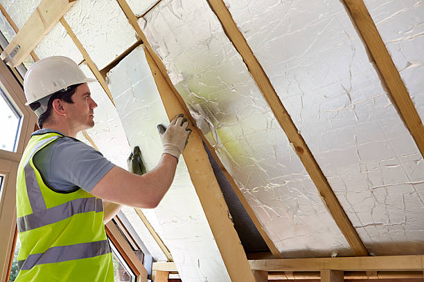 Best Insulation Maintenance and Repair in South Barre, VT
