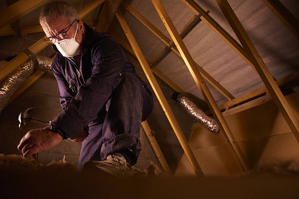 Types of Insulation We Offer in VT